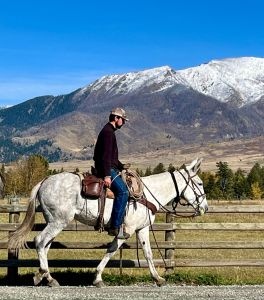 Galaxy Gray Trail Gentle Broke Wilderness Black Mountain Outfitters Montana