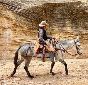 Lillie canyon rocks trails rivers sand slot canyons Utah Montana Wyoming mule