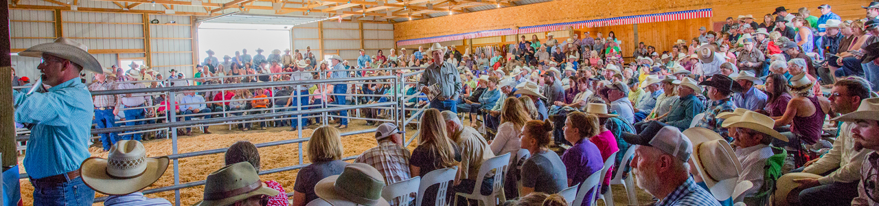 Jake Clark, Mule Days, auction