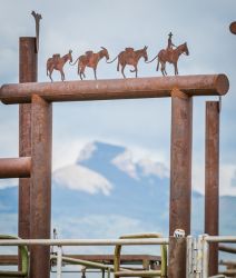 Jake Clark Mule Days • Ralston, WY