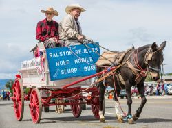 Jake Clark Mule Days • Ralston, WY