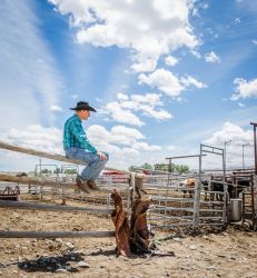 Jake Clark Mule Days • Ralston, WY