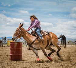 Jake Clark Mule Days • Ralston, WY