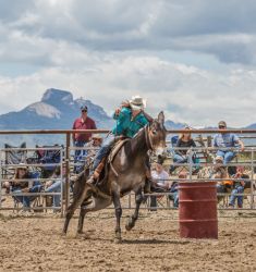 Jake Clark Mule Days • Ralston, WY