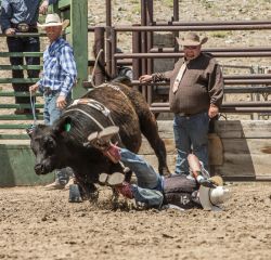 Jake Clark Mule Days • Ralston, WY