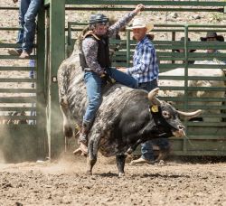 Jake Clark Mule Days • Ralston, WY